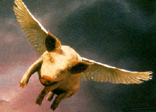 Flying Pig